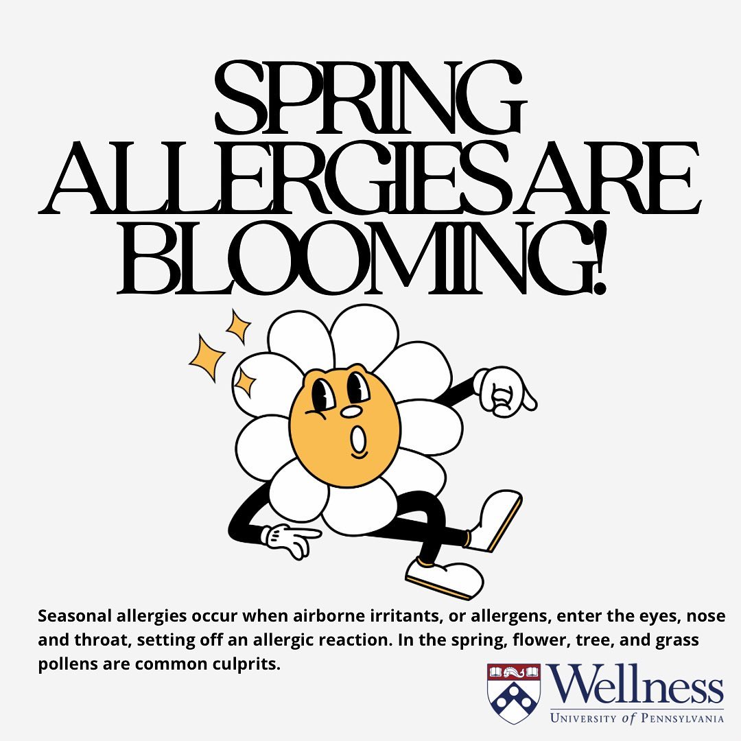 Seasonal allergies occur when airborne irritants, or allergens, enter the eyes, nose and throat, setting off an allergic reaction. In the spring, flower, tree, and grass pollens are common culprits. 

Swipe and visit http://wellness.upenn.edu to learn more about allergy treatments.

#WellnessAtPenn #AllergySeason