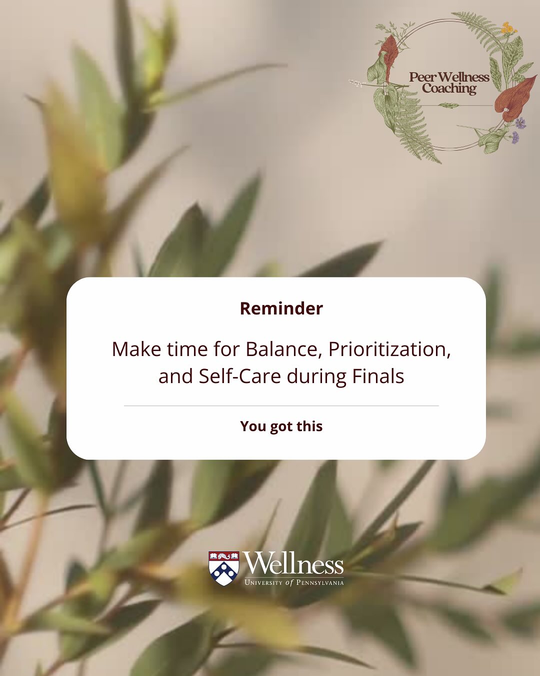 Finals week is here! Remember to prioritize rest, self-care, and seek support when needed! Visit the link in our bio to book a session with our Peer Wellness Coaches and explore available resources. Good luck, Quakers! 

#FinalsWeek #PeerWellnessCoaching #WellnessatPenn