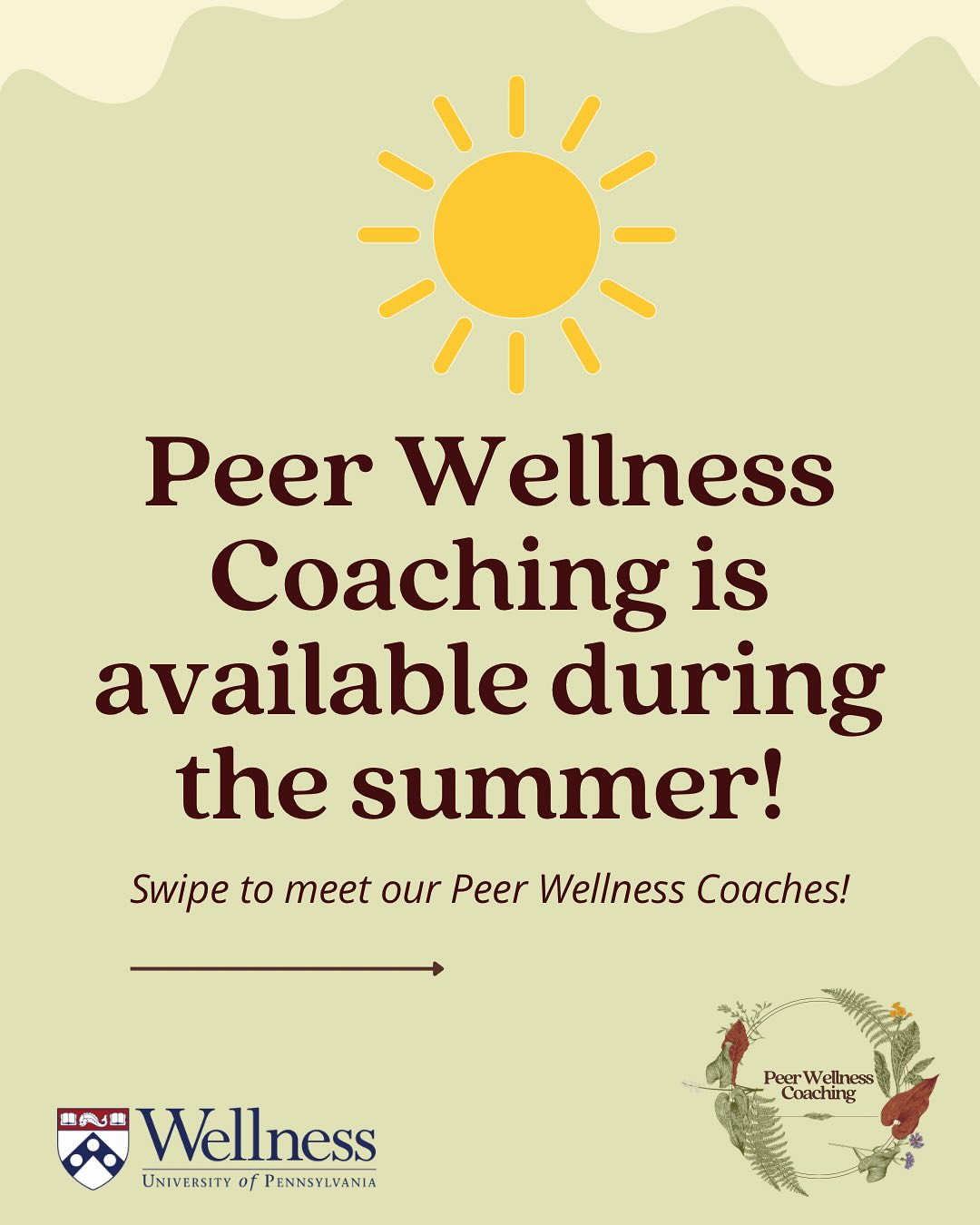Our Peer Wellness Coaches are here for you all summer long!
Swipe to meet the team and learn how to book your FREE coaching session. 💬☀️